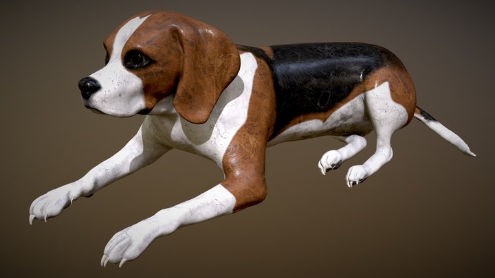 Kai 3D Model