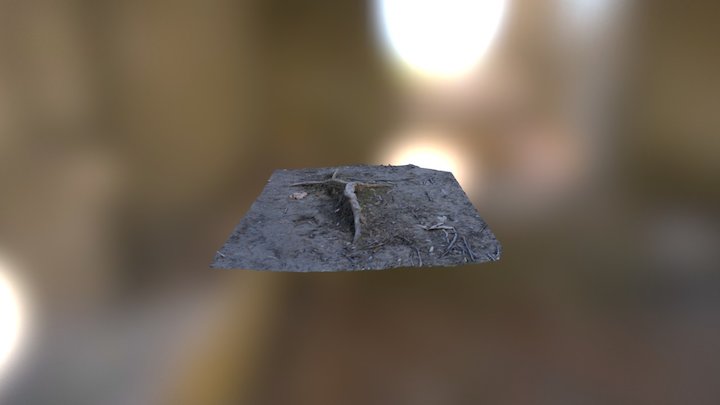 3D Scans - Root (2-22-17) 3D Model