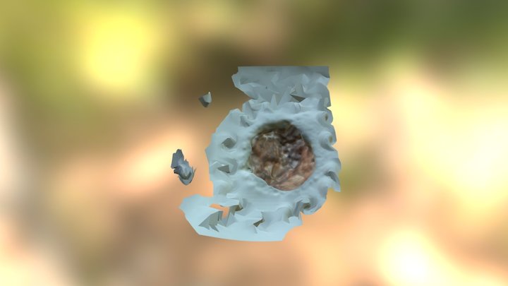 My model 3D Model