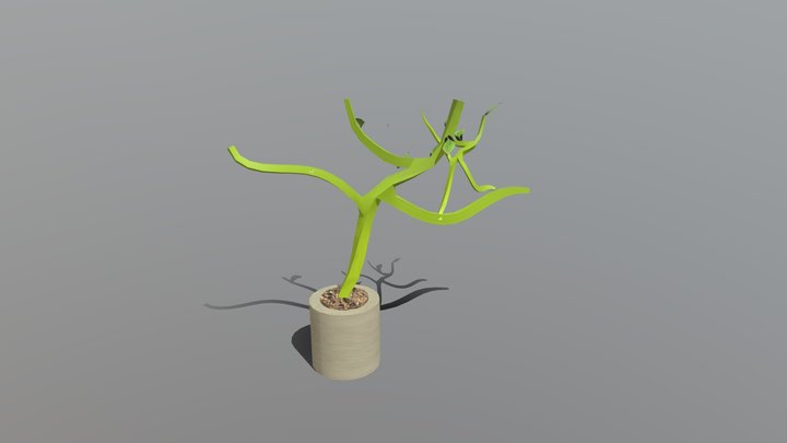 AtitkarShruti_Week8_Plant 3D Model