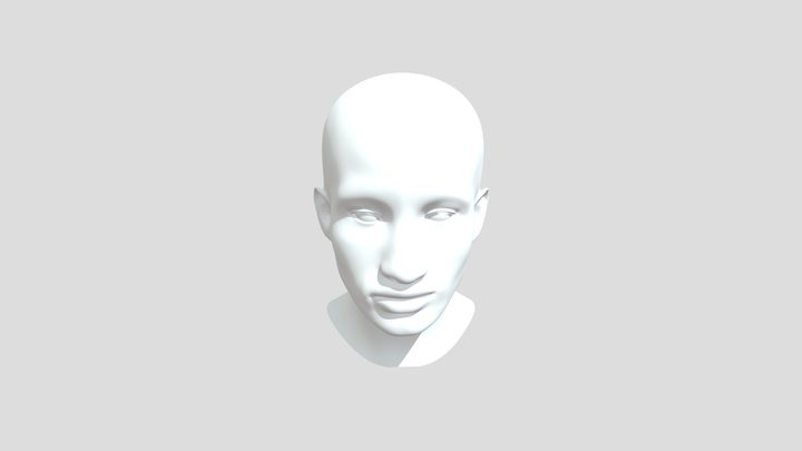 Realistic Head 3D Model