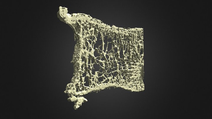 50 - F88 3D Model
