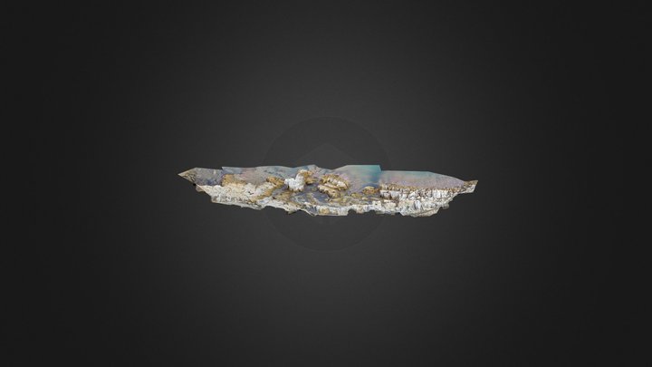 3D model of Cystoseira foeniculacea basin 3D Model