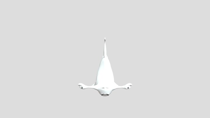 Hammerhead Shark 3D Model