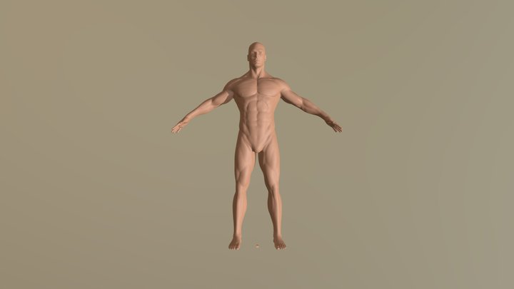 Essere-umano 3D Model