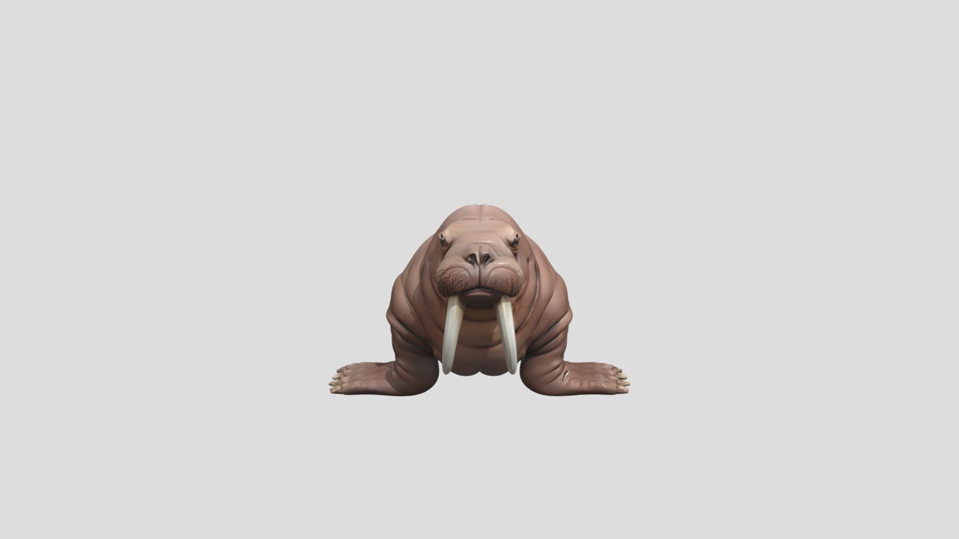 A walrus model - Download Free 3D model by Ghosttisti [b320767] - Sketchfab