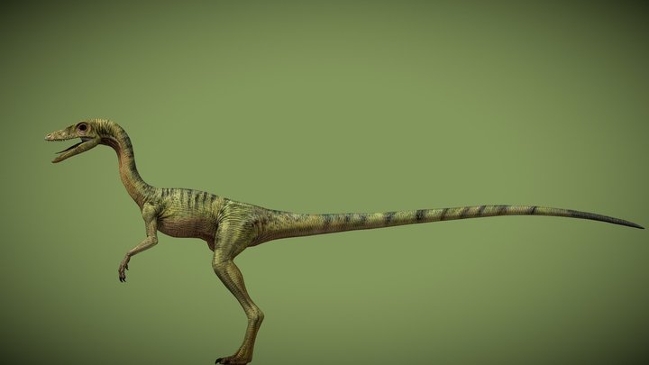 The Lost World: Jurassic Park Compsognathus – Modèle 3D gratuit STL
