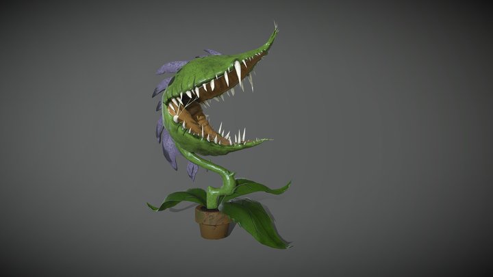 planty 3D Model