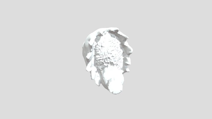 Archive 3D Model