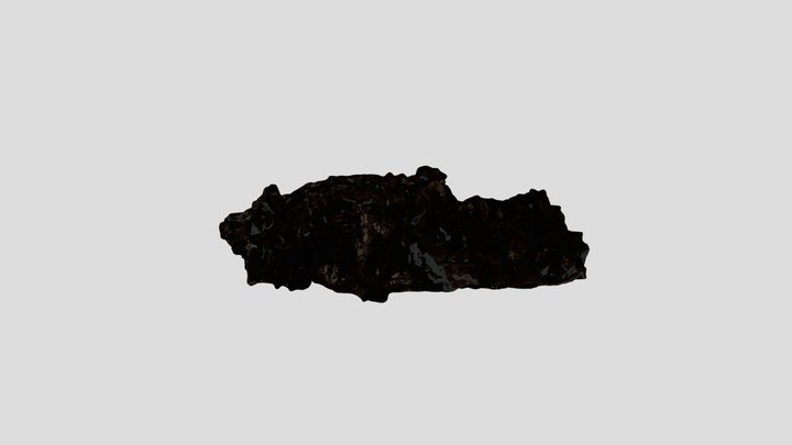Cork Oak Bark – Modèle 3D gratuit STL