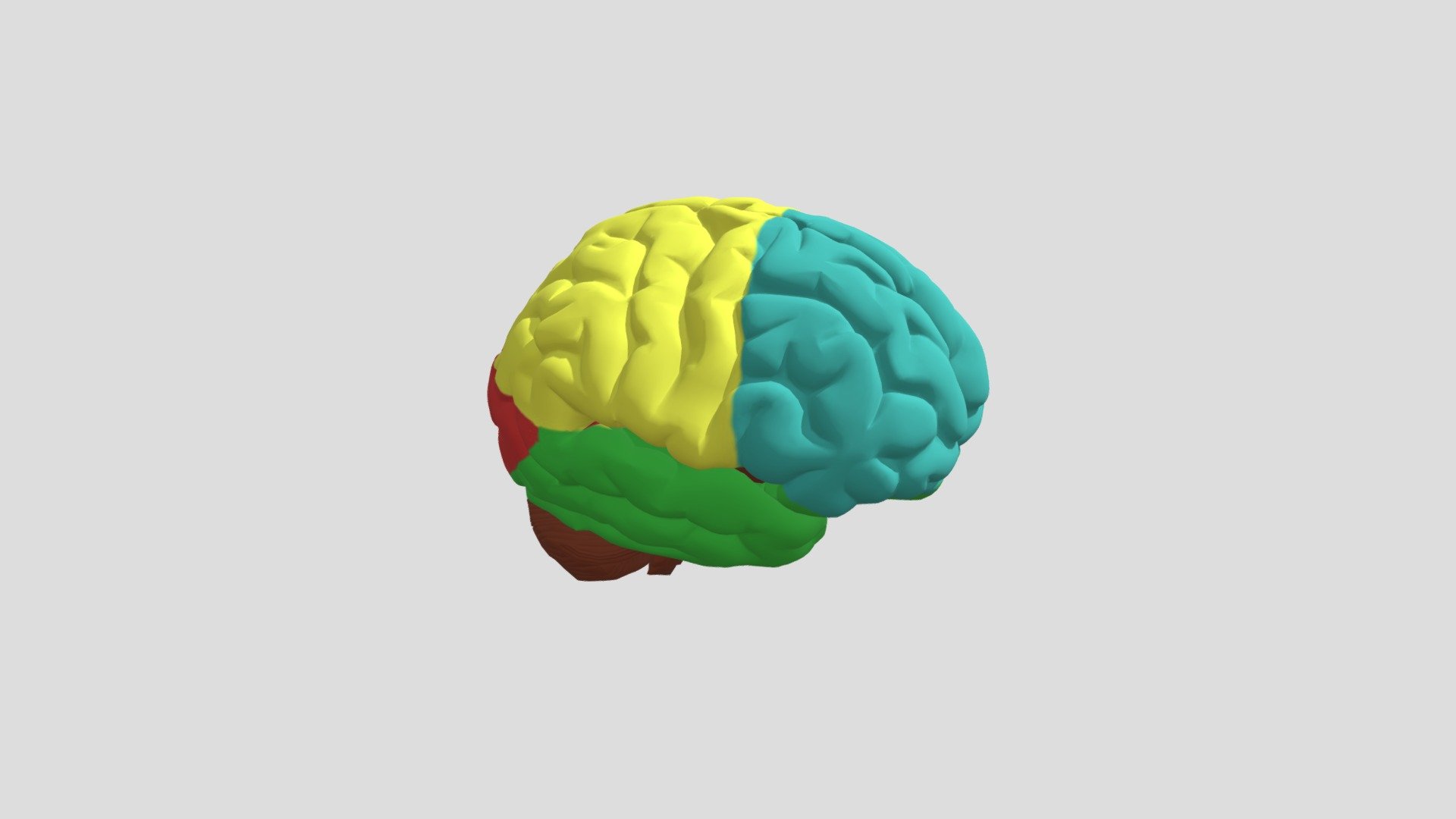brain-project - 3D model by aboody9068 [b3269f3] - Sketchfab