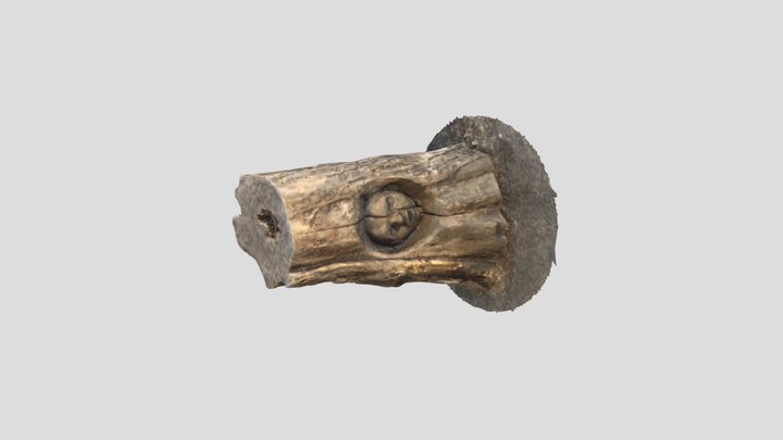 Tronco_faccia 3D Model