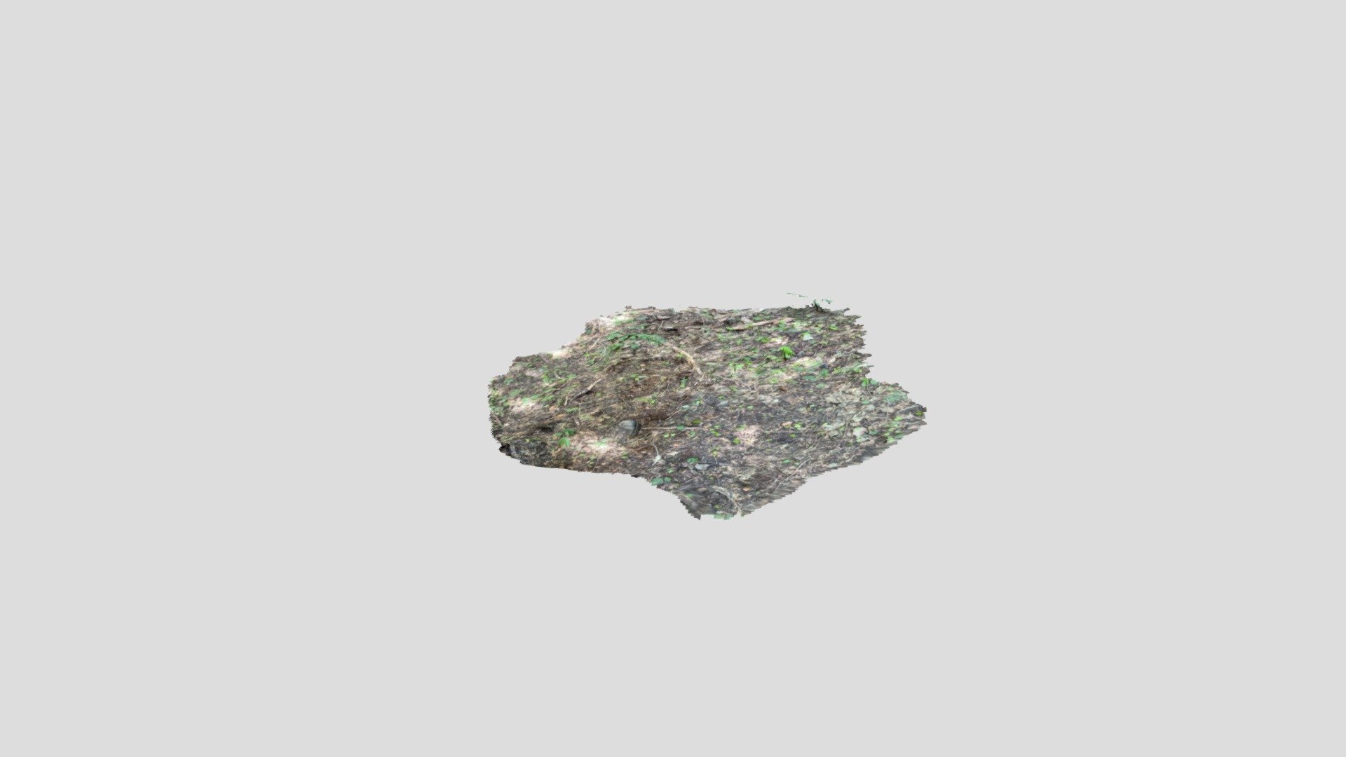 Untitled Scan