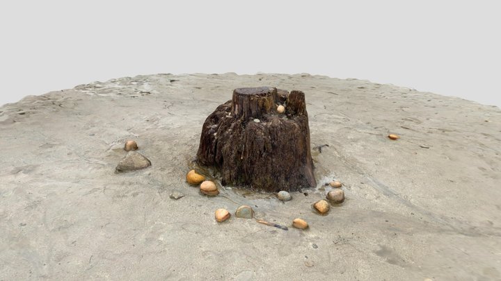 Sierra Tree Stump By Lake 3D Model
