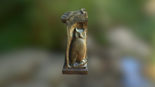 owl texture test 3D Model