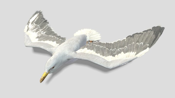 Seagull – Stylized Animated 3D Model – Modello 3D gratuito STL