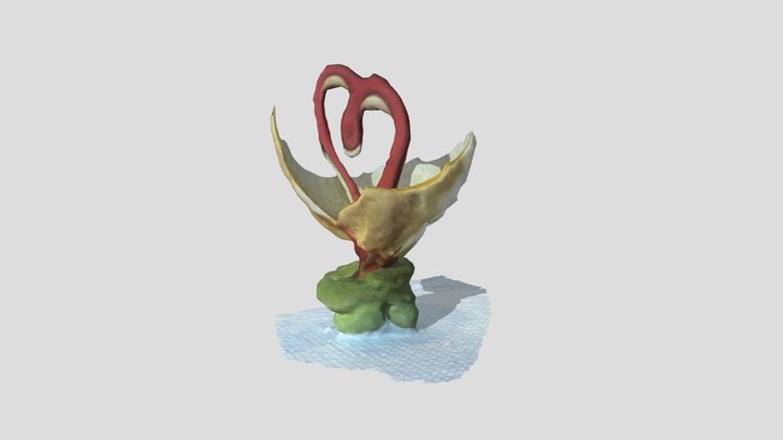 Douce Idee by MicroM  Photogrammetry 3D Model
