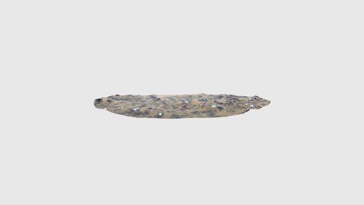 Icelandic Lava Field Ground 3D Model