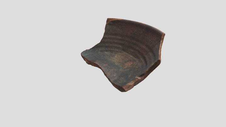 Sherd 3D Model