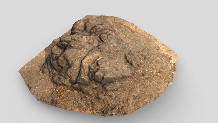 3D Rock Scan 3D Model