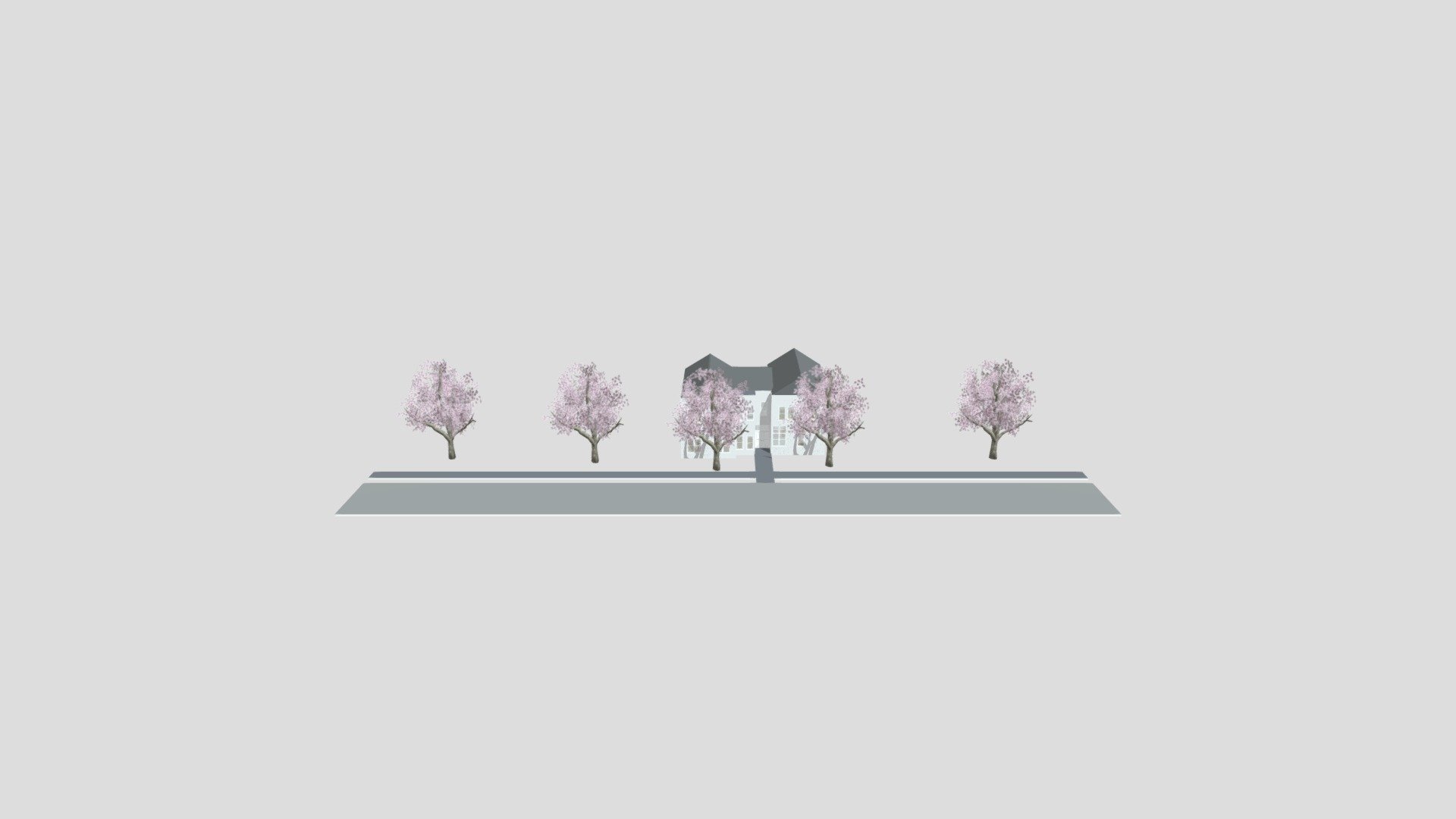 Tradiotnal house