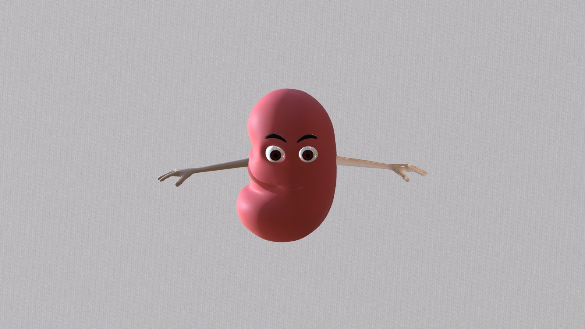 Kidney L