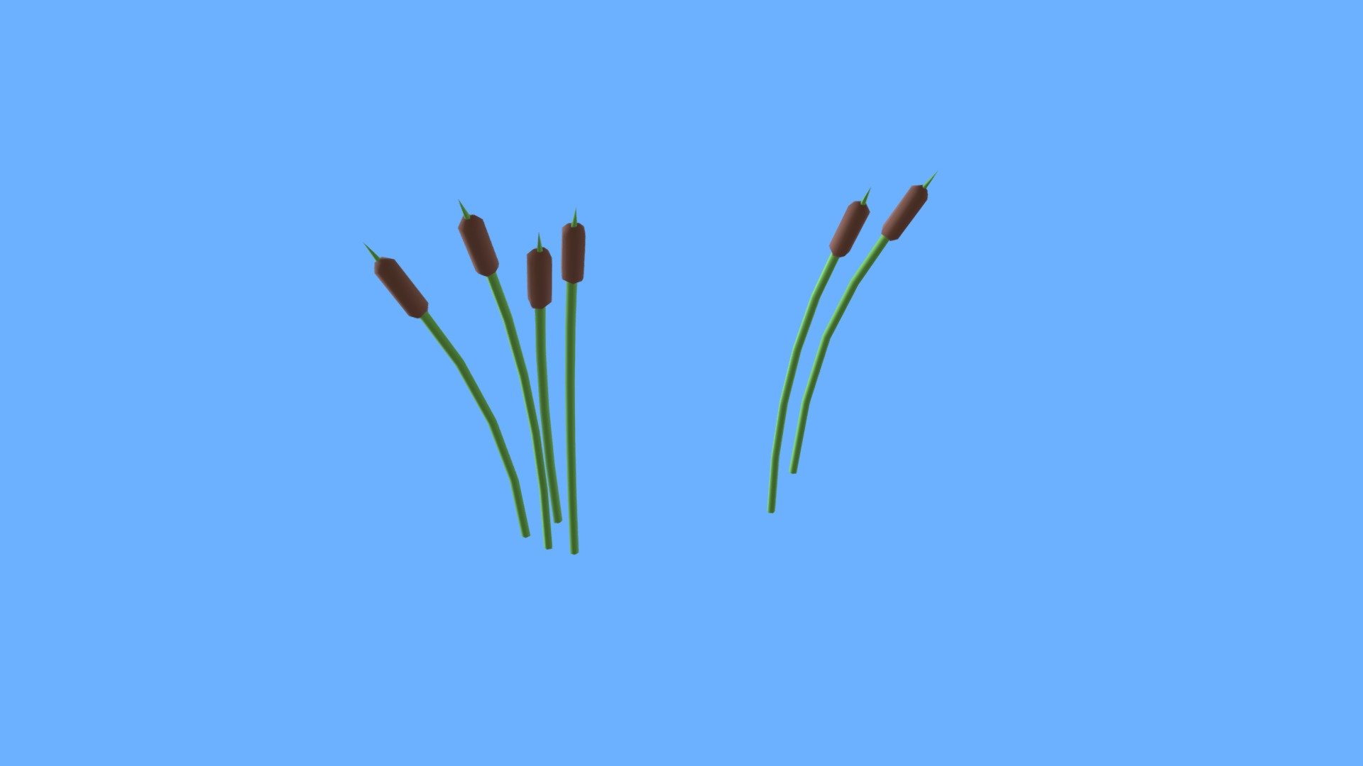 Plants