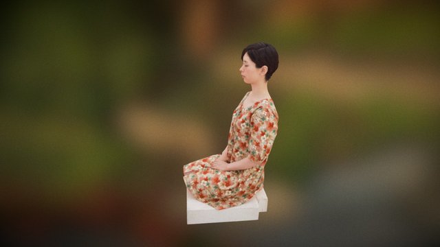 Hikaru - Seiza Pose (Nuit Blanche Kyoto 2016) 3D Model