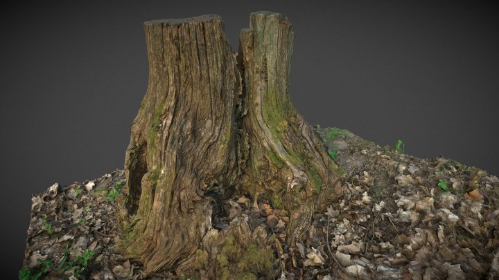 Penok 3D Model