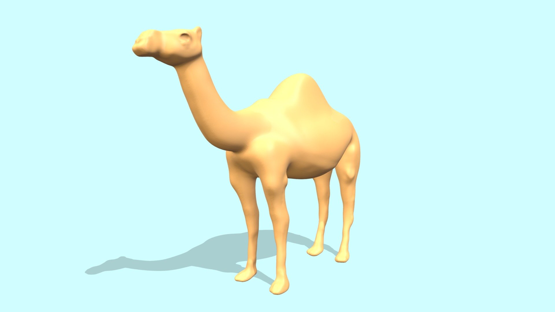 Arabian Camel (Medium)