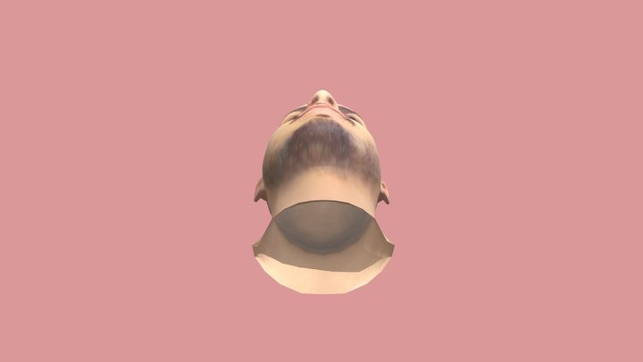 head 3D Model