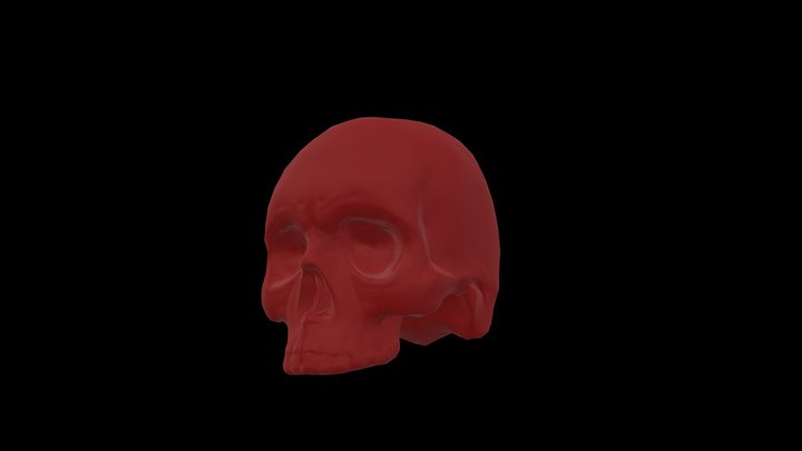 Skull 3D Model