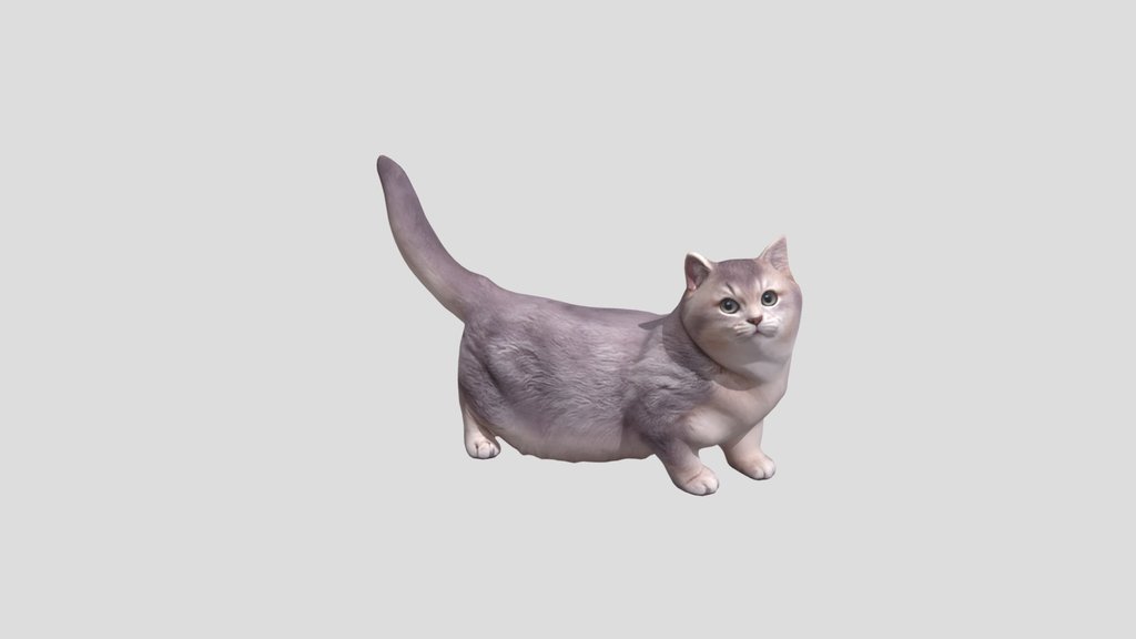 Munchkin_ Cat_obj