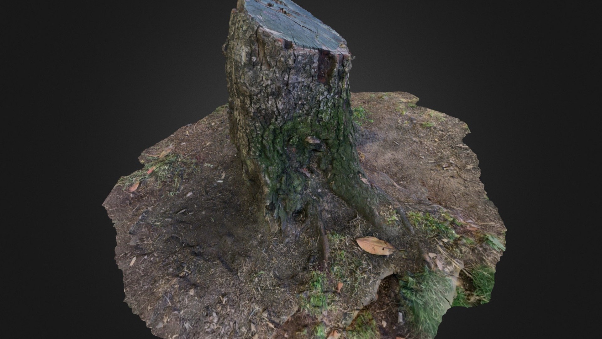 Redo of Tree Trunk
