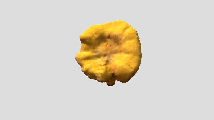 Chanterelle Mushroom 3D Model