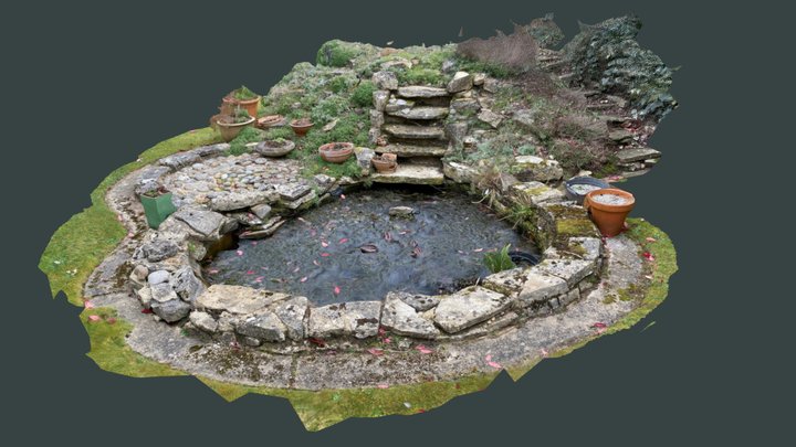pond 3D Model