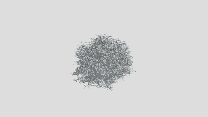 Sarcococca Hookeriana – Free 3D Model STL