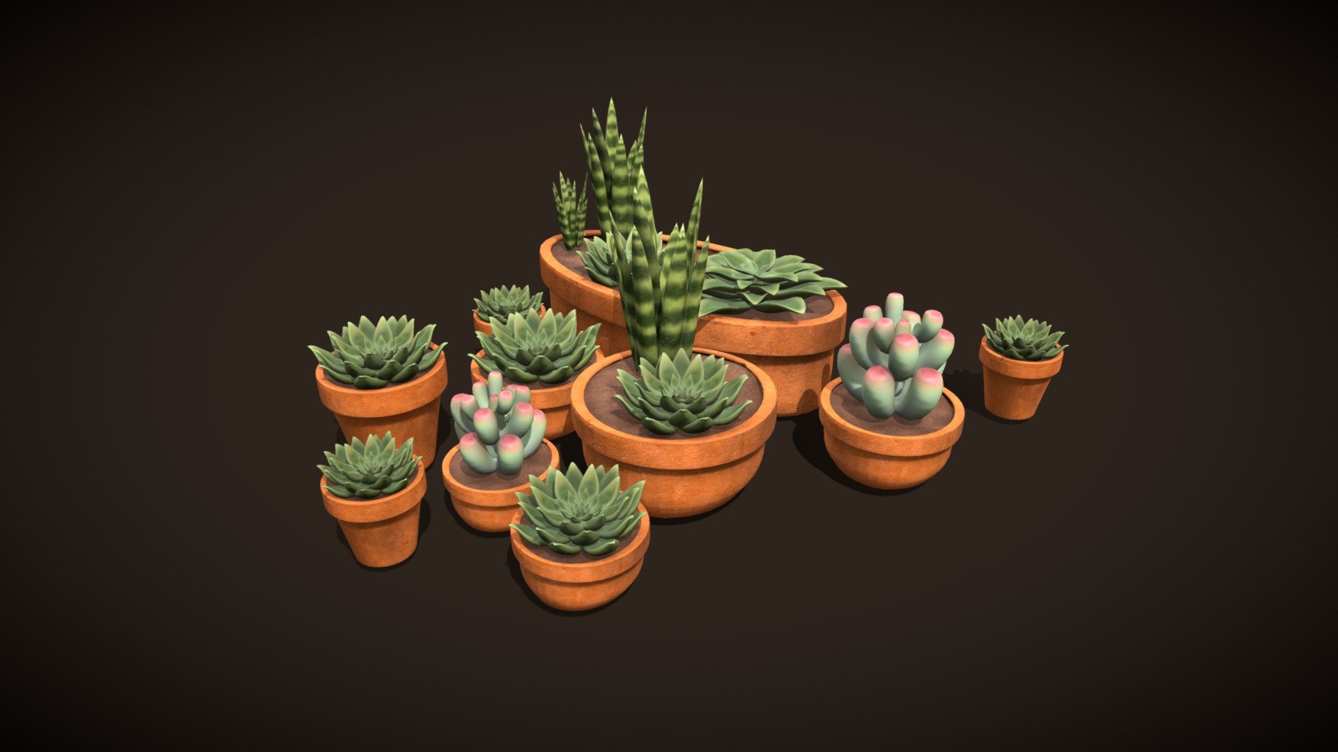 3D Succulent Plants 481