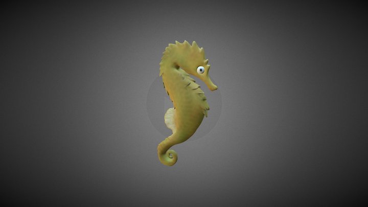 SeaHorse 3D Model