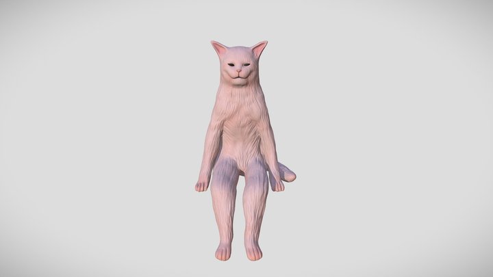 The meme cat (3D printable) 3D Model