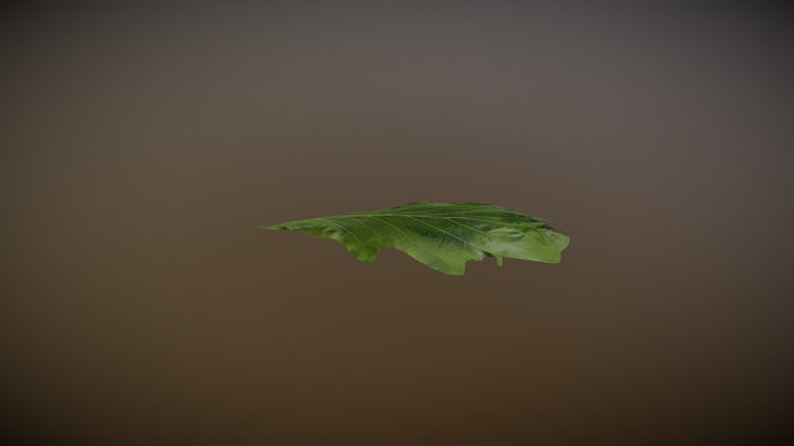 Photometric Stereo Experiment 3D Model