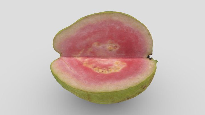 Psidium Guajava 3D Model