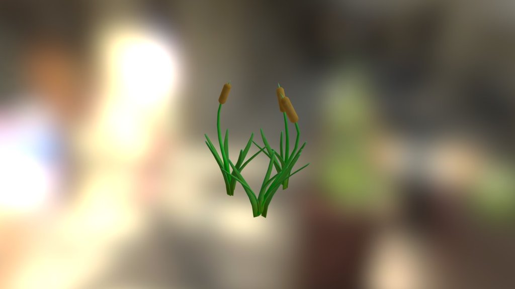 Reeds - 3D model by andreugomila [b36298a] - Sketchfab
