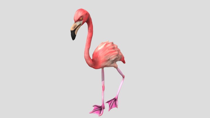 Flamingo 3D Model