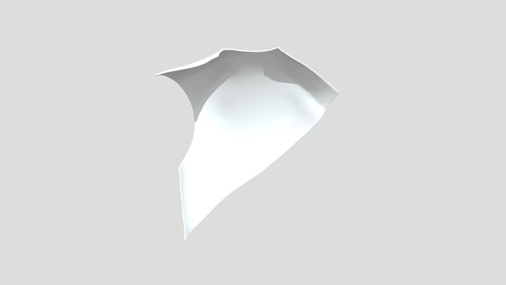 10-15-19 Male Chest Plate Back 3D Model