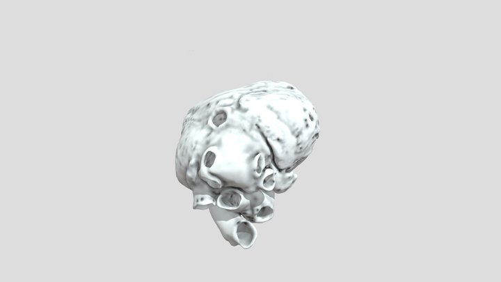 HeartTest 3D Model