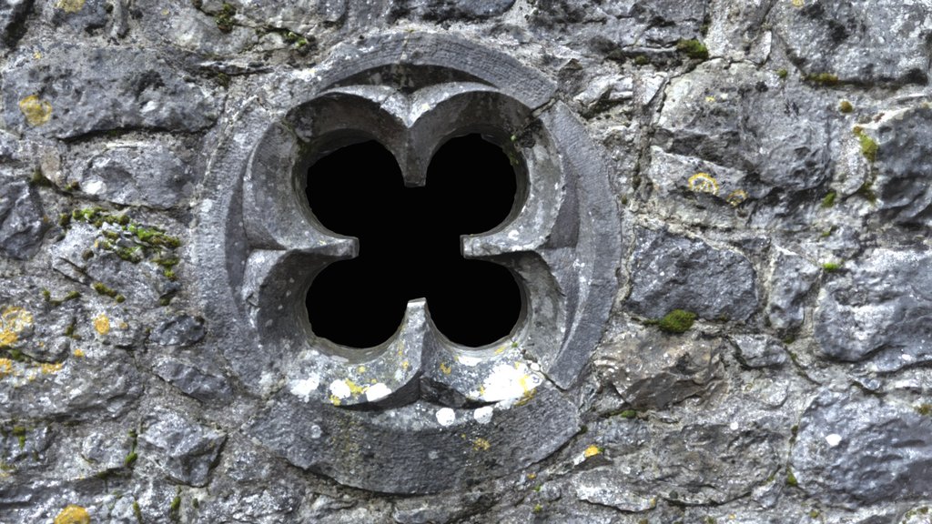 Portumna Abbey (GA127-019----) Quatrefoil Window