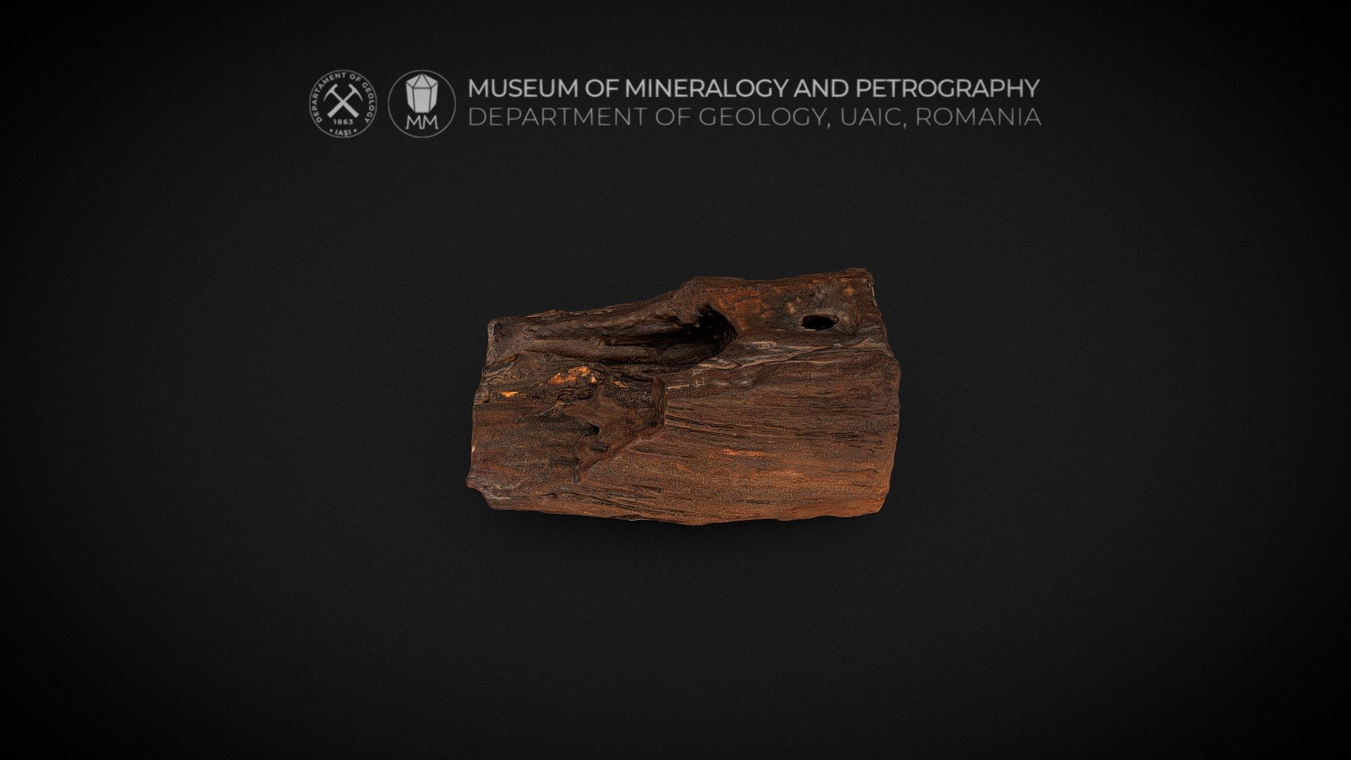 Petrified wood (Opal) - 3D model by Museum of Mineralogy and ...
