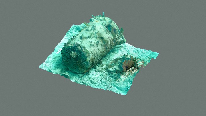 Donkey Boiler 3D Model
