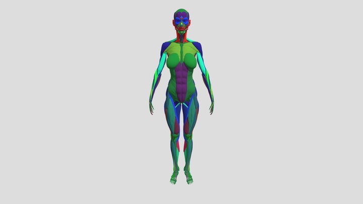 Female Body Reference 3D Model